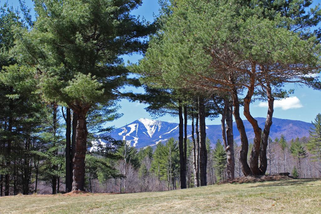 Вілла Esther Mountain Chalet Вілмінгтон Екстер'єр фото