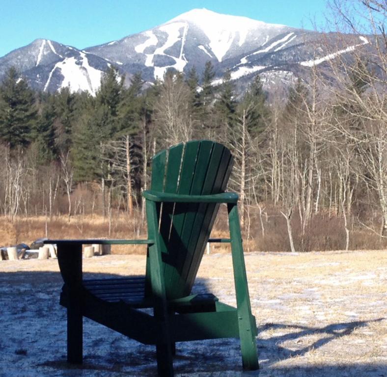 Вілла Esther Mountain Chalet Вілмінгтон Екстер'єр фото